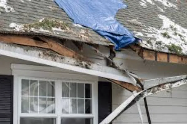 What Should You Check in Your Insurance Policy Before Repairing Storm Damage?