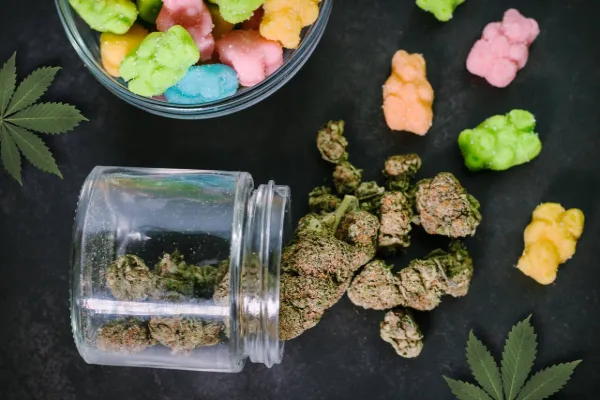 Exploring Vegan CBD Gummies: Are They Worth It?