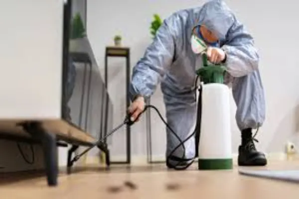 Why Investing in Mosquito Exterminator Services Protects Your Home and Health