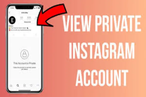 How to View Likes and Comments on Private Accounts