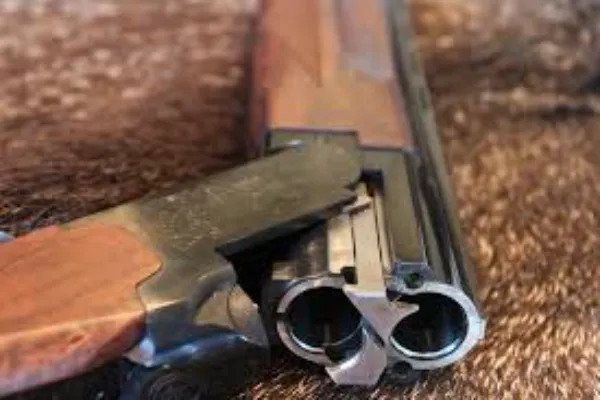 Shotguns 101: Which Type is Right for You?