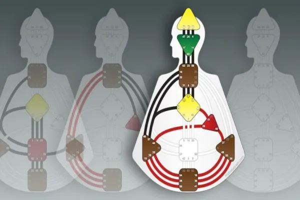 The Importance of the Human Design Test in Decision-Making Processes