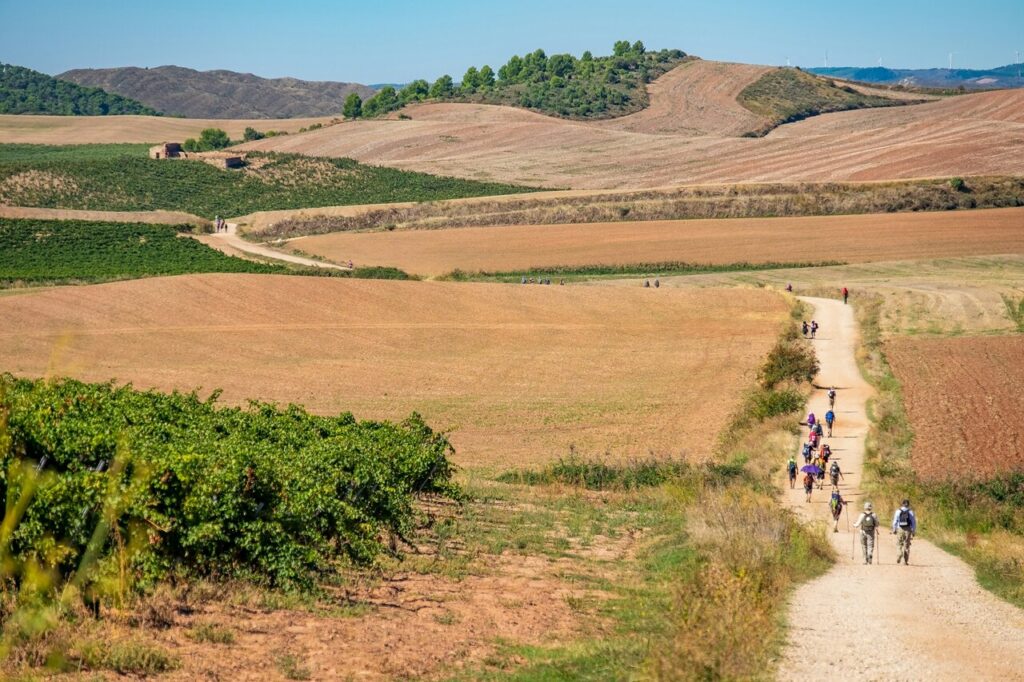 a group of people hiking on a dirt road on the Camino de Santiago