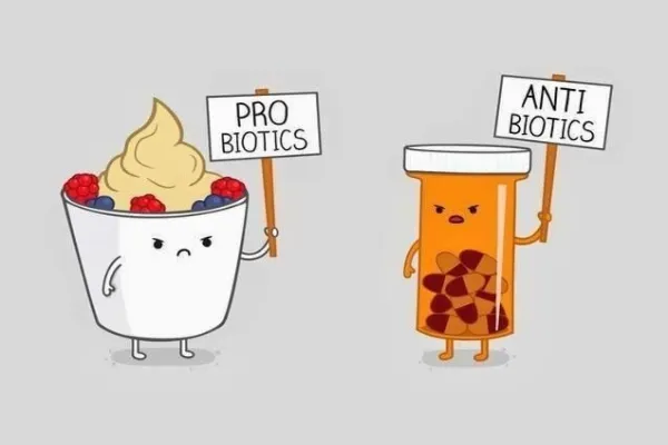 Can I Take Antibiotics and Probiotics at the Same Time?