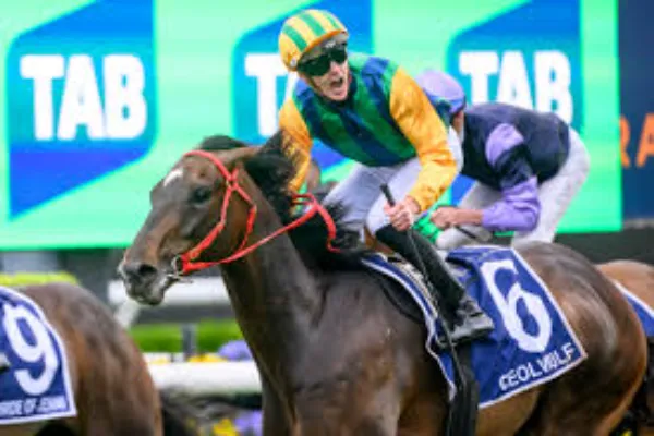 Expert George Ryder Stakes Tips to Boost Your Racing Bets