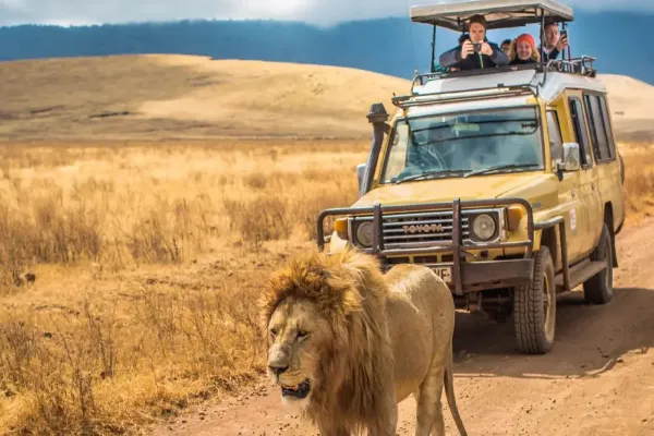 How Much Does a Tanzania Safari Cost in the Low Season?