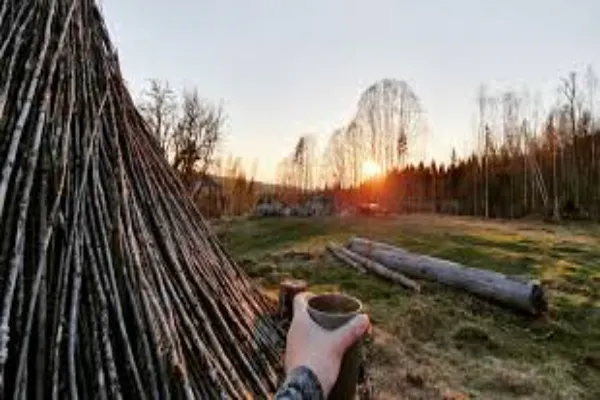 Escape the Noise: How Going Off the Grid Can Transform Your Mindset
