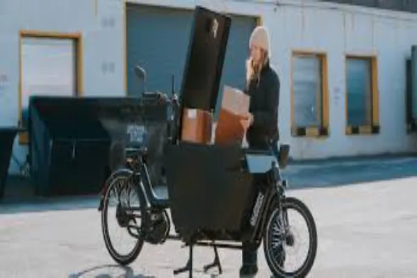 Urban Delivery Revolution: Fast Cargo Electric Bikes for Businesses