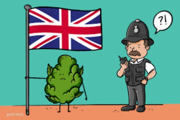 Thinking About Cannabis in the UK? Here’s What’s Legal, Safe & Allowed