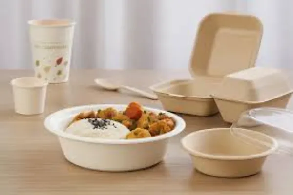 The Complete Guide to Compostable Food Trays: Sourcing the Bagasse Advantage