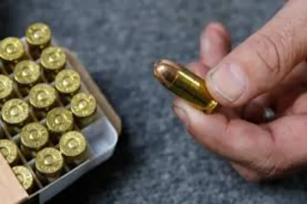 California Ammo Background Check: What You Need to Know