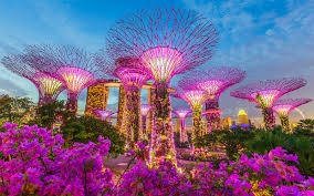 5 Must-See Highlights at Gardens by the Bay: The Ultimate All-in-One Ticket Guide