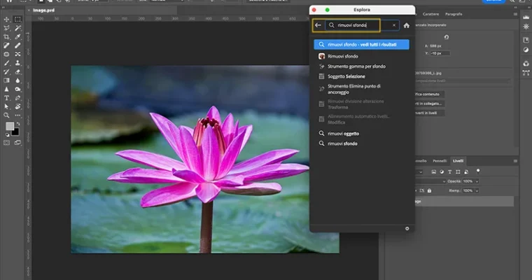 How to Remove Background from Image Without Photoshop (Free Guide)